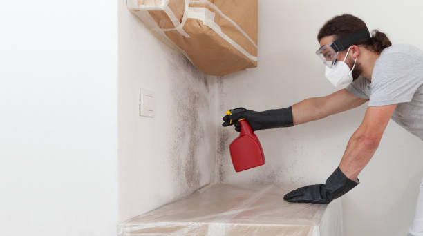 Attic Mold Remediation treatment on roof deck in Baldwin